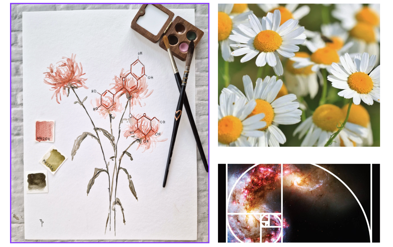 Profile picture for user aria